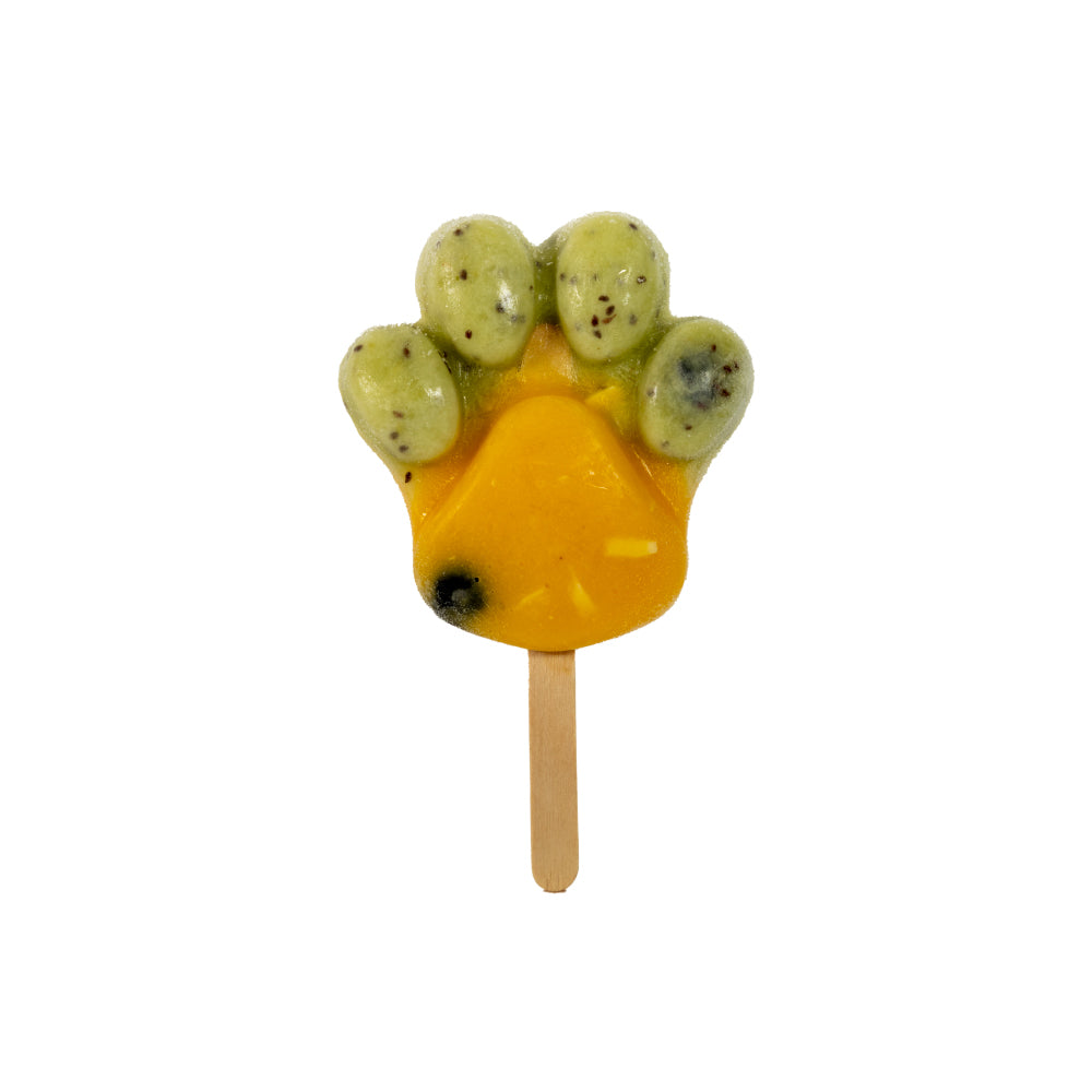 Tropical Paw Pop – Mango, Kiwi & Blueberry Dog Ice Treat